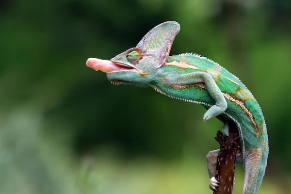 20 самых страшных лестниц в мире